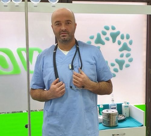 IMG-3af8a6df1bc660fb1f48382b75e83b71-V